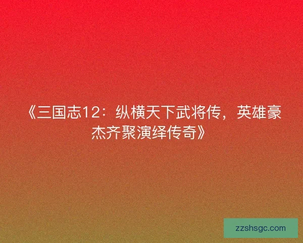 《三国志12：纵横天下武将传，英雄豪杰齐聚演绎传奇》