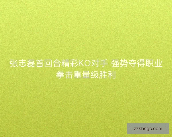 张志磊首回合精彩KO对手 强势夺得职业拳击重量级胜利