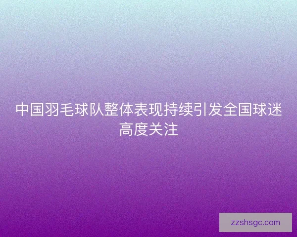 中国羽毛球队整体表现持续引发全国球迷高度关注