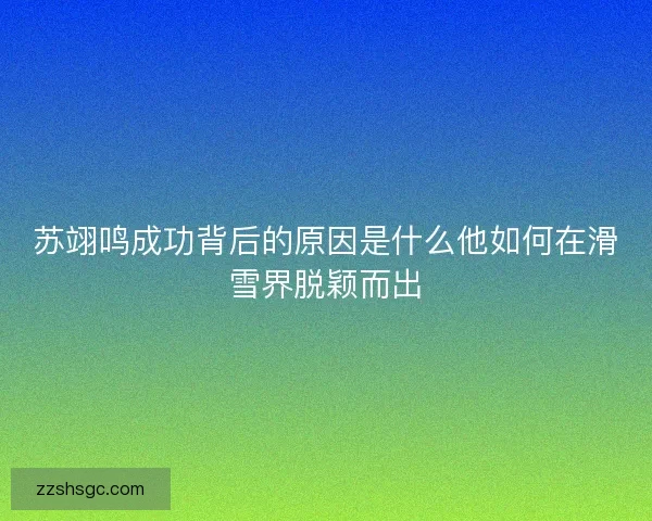 苏翊鸣成功背后的原因是什么他如何在滑雪界脱颖而出 苏翊鸣成功背后的原因是什么他如何在滑雪界脱颖而出