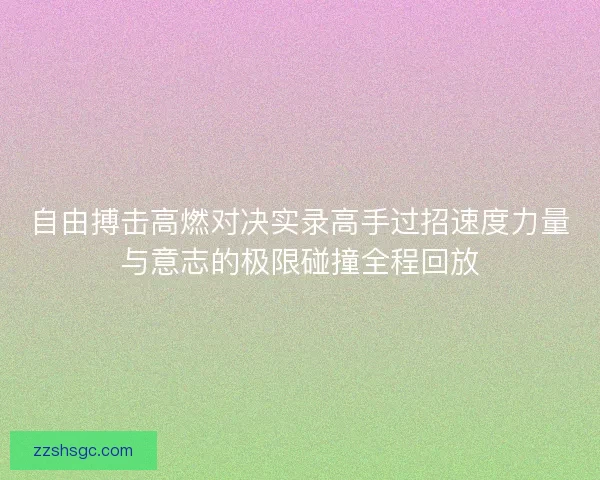 自由搏击高燃对决实录高手过招速度力量与意志的极限碰撞全程回放 自由搏击高燃对决实录高手过招速度力量与意志的极限碰撞全程回放